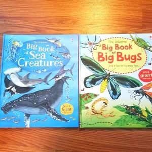 Usborne books sea creatures and bugs